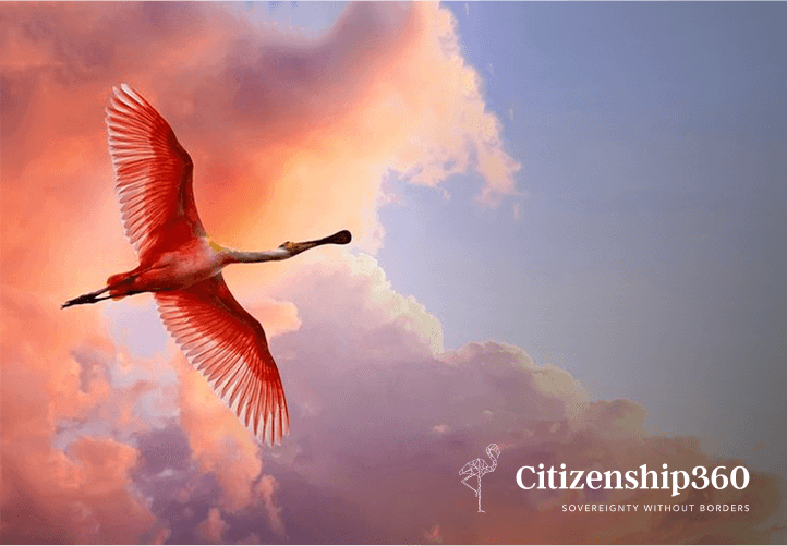 Flying Bird