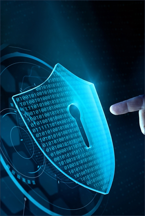 Data Privacy & Security Risks