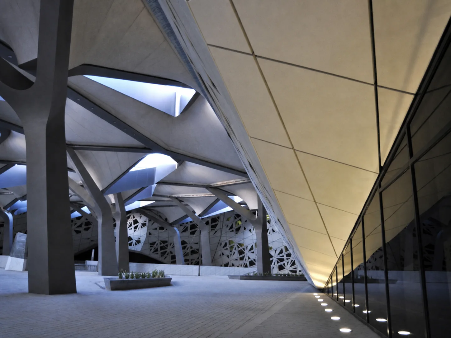 Depa project preview